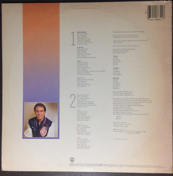 Larry Carlton - Friends