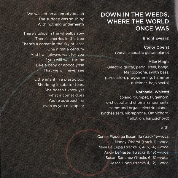 Bright Eyes - Down In The Weeds, Where The World Once Was