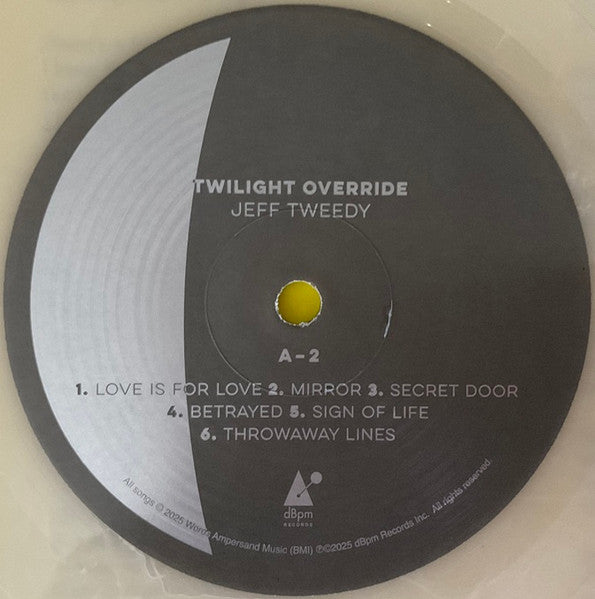 Jeff Tweedy - Twilight Override