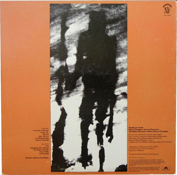 Tony Banks - A Curious Feeling