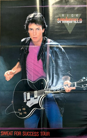 Rick Springfield - Wait For Night