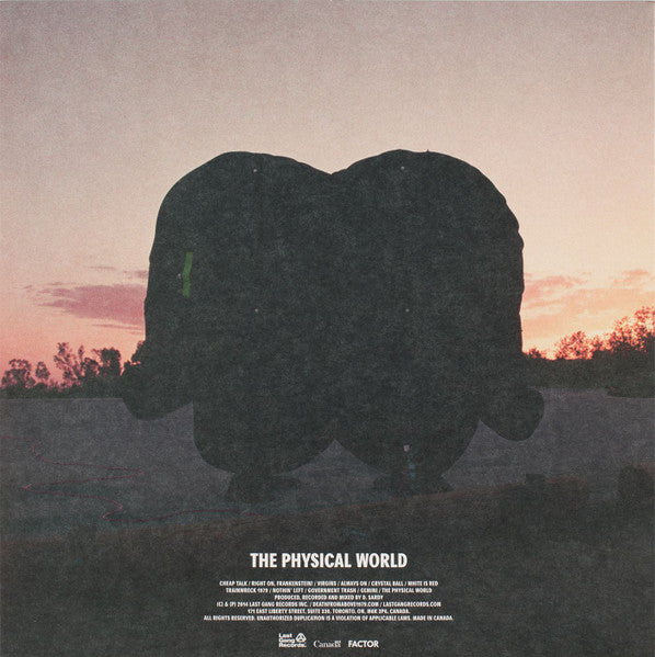 Death From Above 1979 - The Physical World