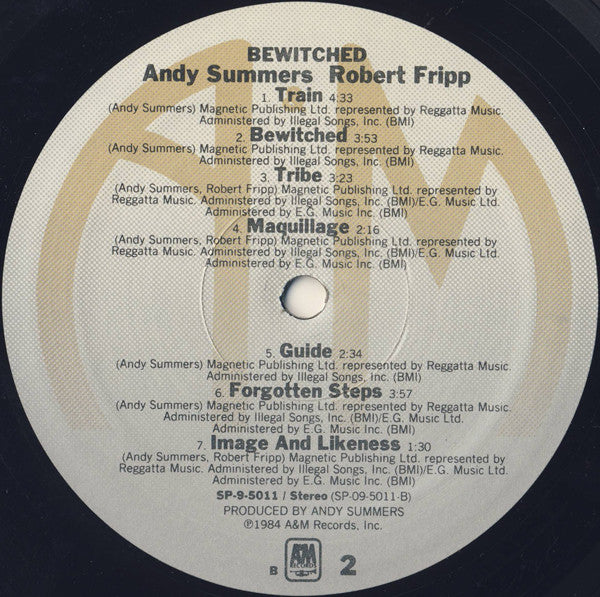 Andy Summers - Bewitched