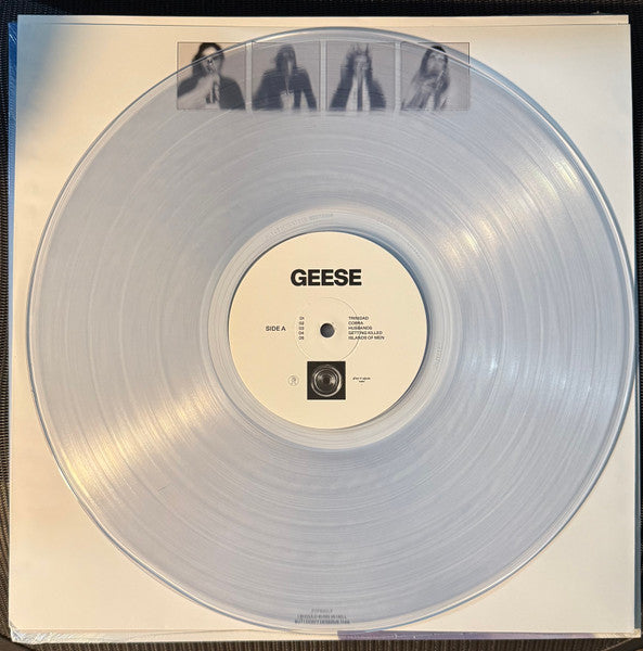 Geese (11) - Getting Killed