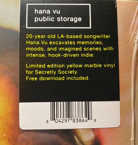 Hana Vu - Public Storage