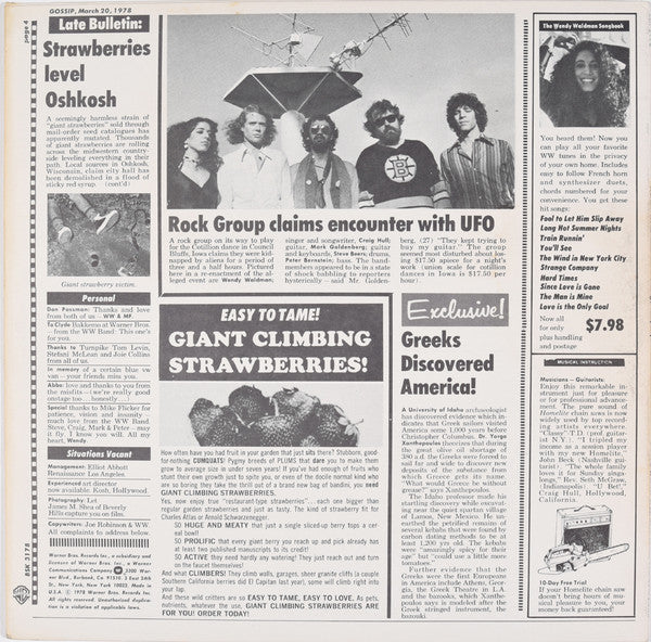 Wendy Waldman - Strange Company