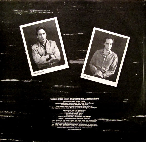 Don Henley - I Can't Stand Still