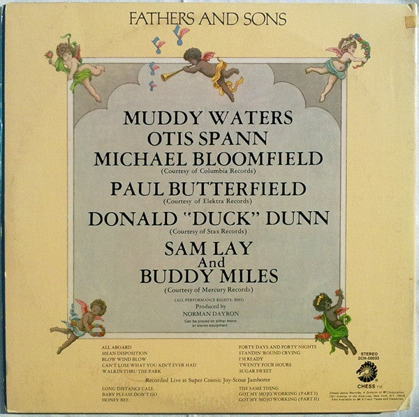 Muddy Waters - Fathers And Sons