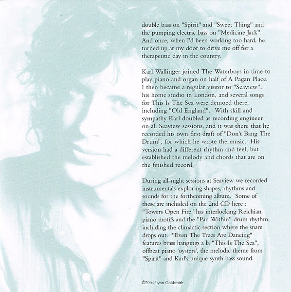 The Waterboys - This Is The Sea