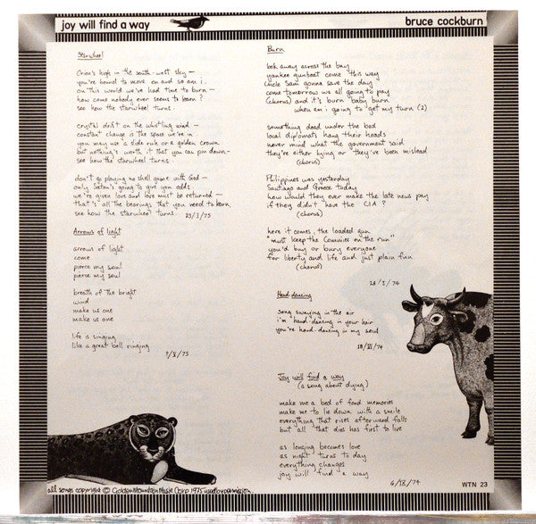Bruce Cockburn - Joy Will Find A Way
