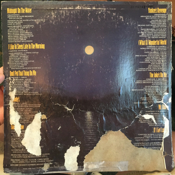 David Bromberg Band - Midnight On The Water