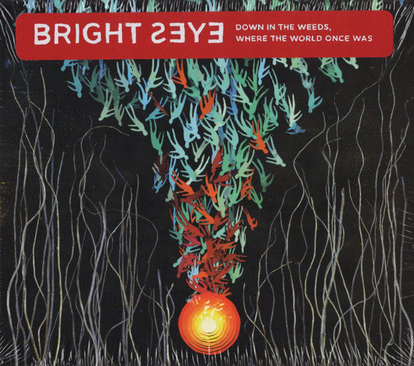 Bright Eyes - Down In The Weeds, Where The World Once Was