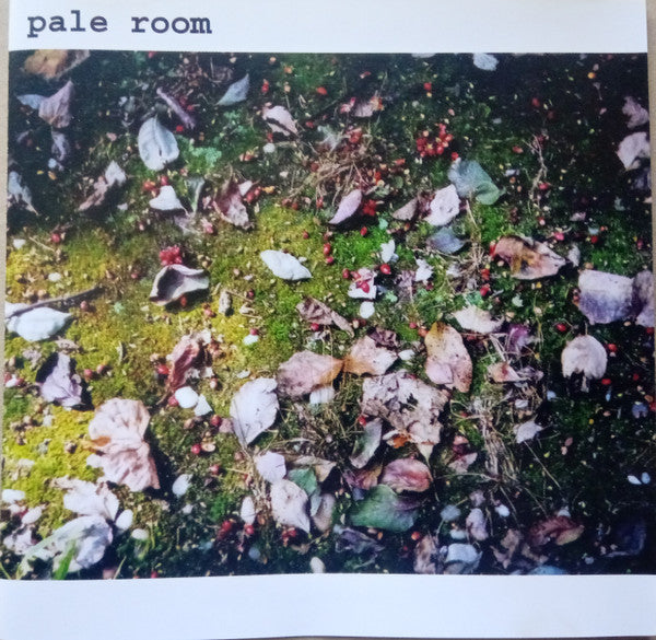 Pale Room - Pale Room