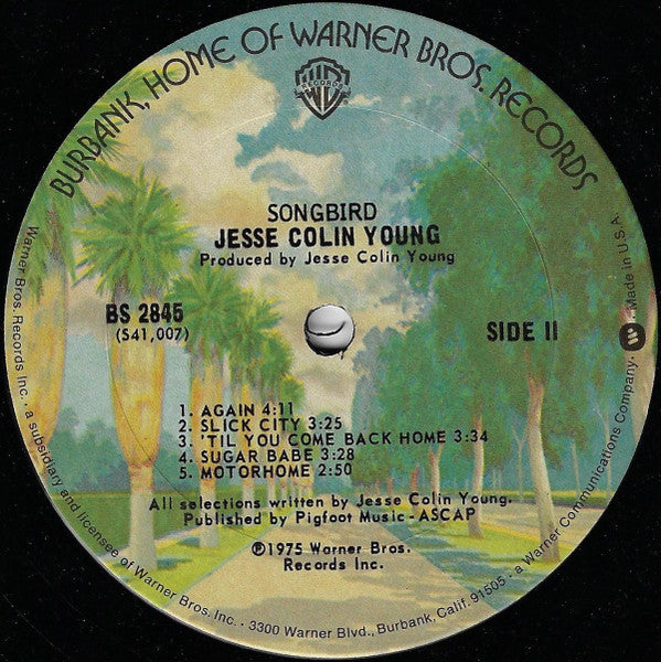 Jesse Colin Young - Songbird