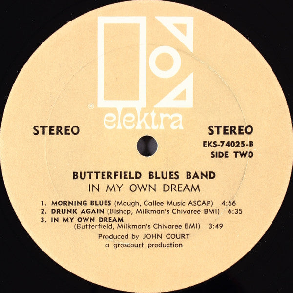 The Paul Butterfield Blues Band - In My Own Dream