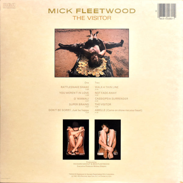 Mick Fleetwood - The Visitor