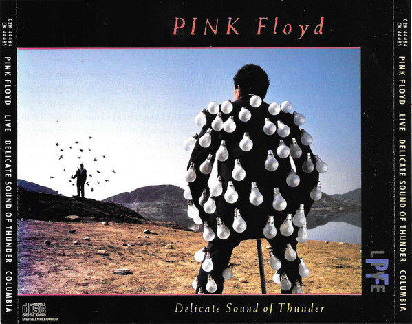 Pink Floyd - Delicate Sound Of Thunder