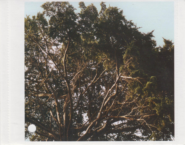 Radar Bros. - Auditorium