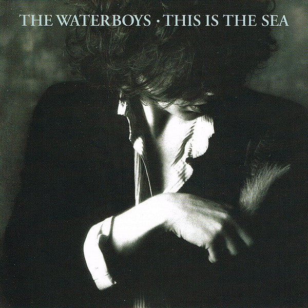 The Waterboys - This Is The Sea