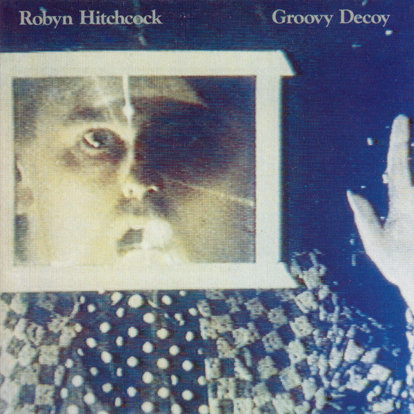 Robyn Hitchcock - Groovy Decoy