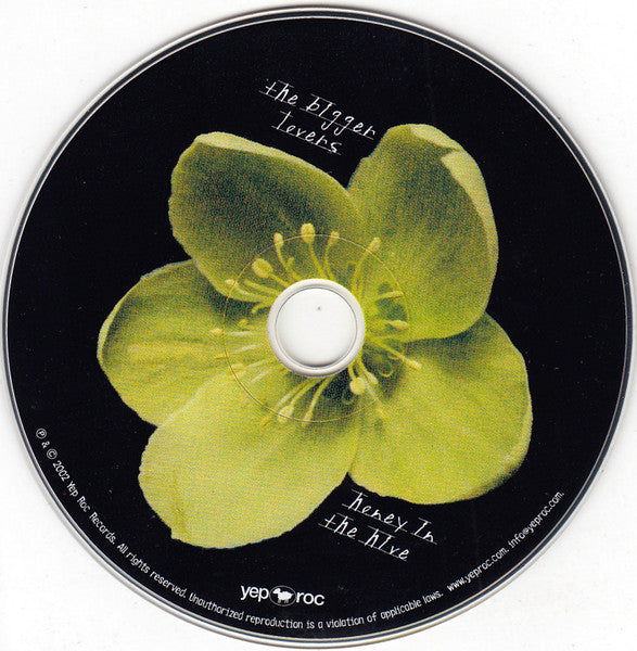 The Bigger Lovers - Honey In The Hive