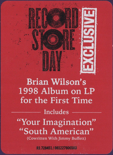 Brian Wilson - Imagination