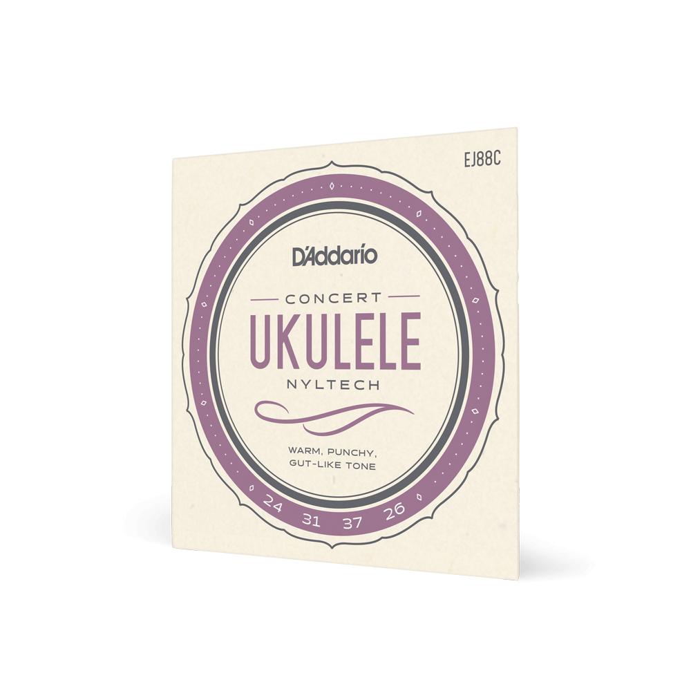 Concert Ukulele Set